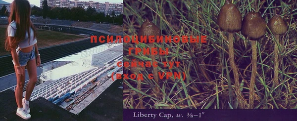 амф Абинск